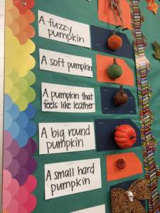 Tactile items of a fuzzy pumpkin, soft pumpkin, leather pumpkin, big pumpkin, and small pumpkin.