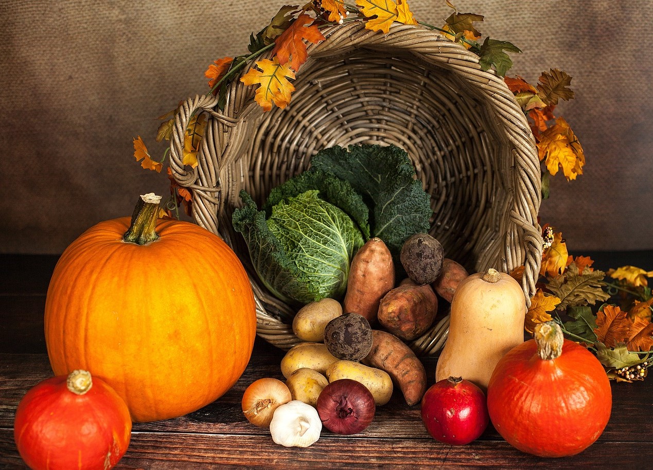 Basket of harvest food that includes pumpkins, tomatoes, onions, and potatoes