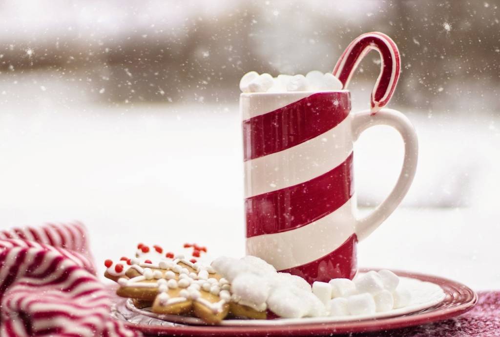 Hot coco in a mug with a candycane in it and a plate of cookies.