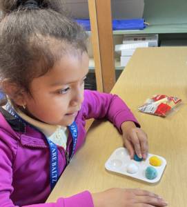 Student using a 6 hole paint pan to put pom-pom balls in to practice making braille letters. 