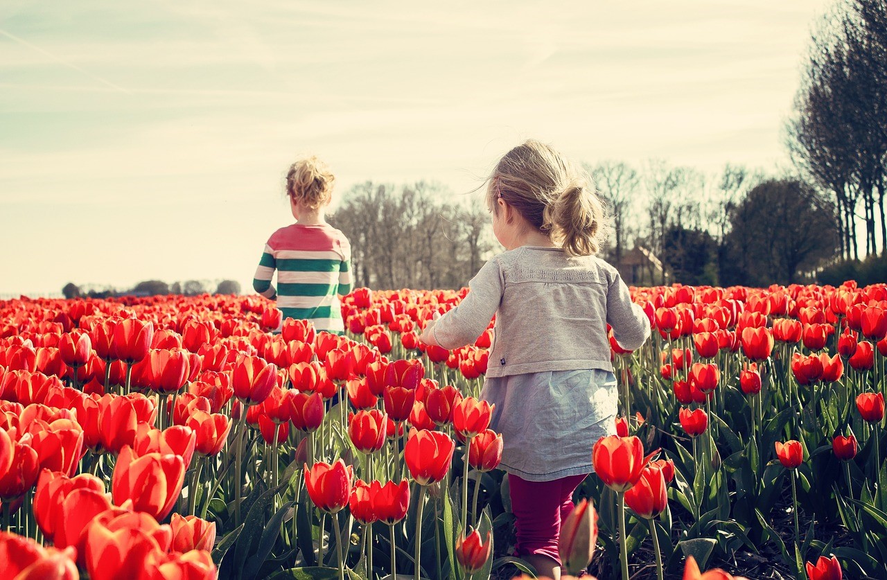 Two young girls walking in a field of tulips.