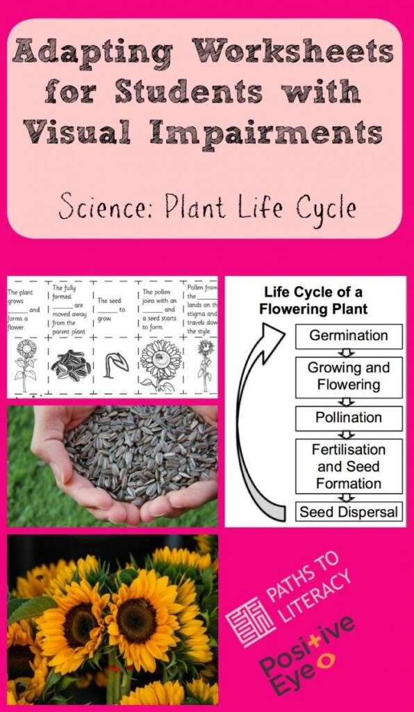 Collage of adapting worksheets for students with visual impairments