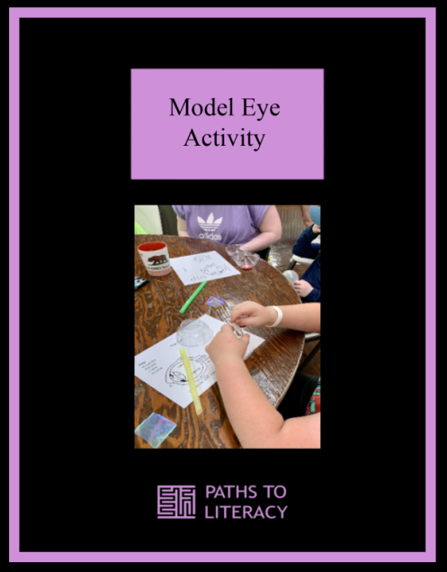Model eye activity title with a picture of a student using the craft materials to make a model eye.