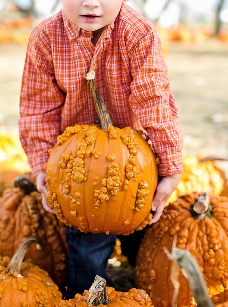 Young boy holding a bumpy pumpkin outside surrounded by pumpkins