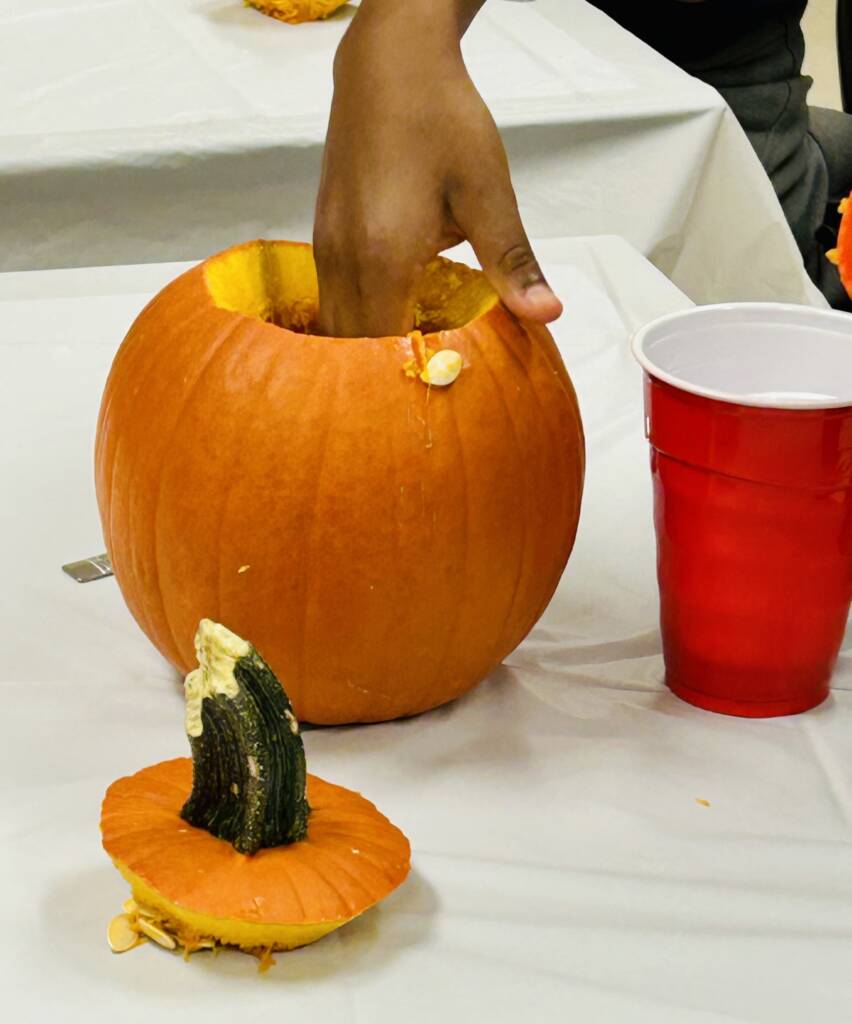 Student putting their hand inside the pumpkin to get out the seeds and pulp.