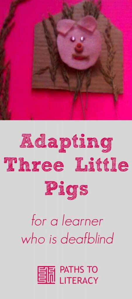 Collage of adapting three little pigs for a learner who is deafblind
