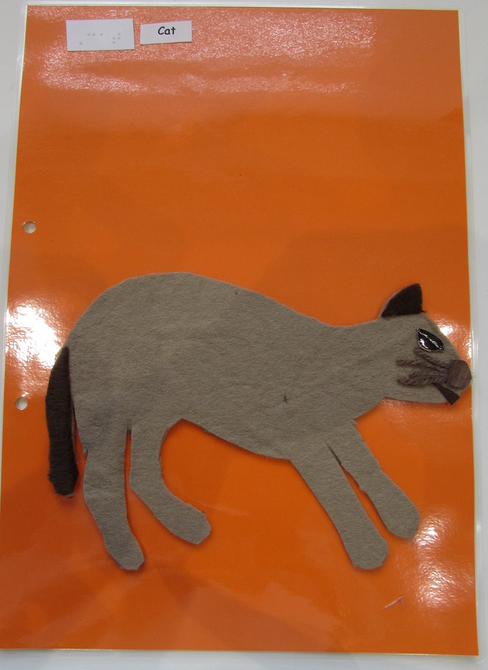 tactile brown cat on orange paper