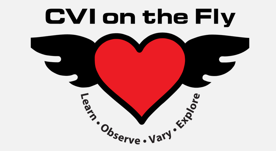 CVI on the Fly title and logo that is heart with wings, under that are the words: learn, observe, vary, explore