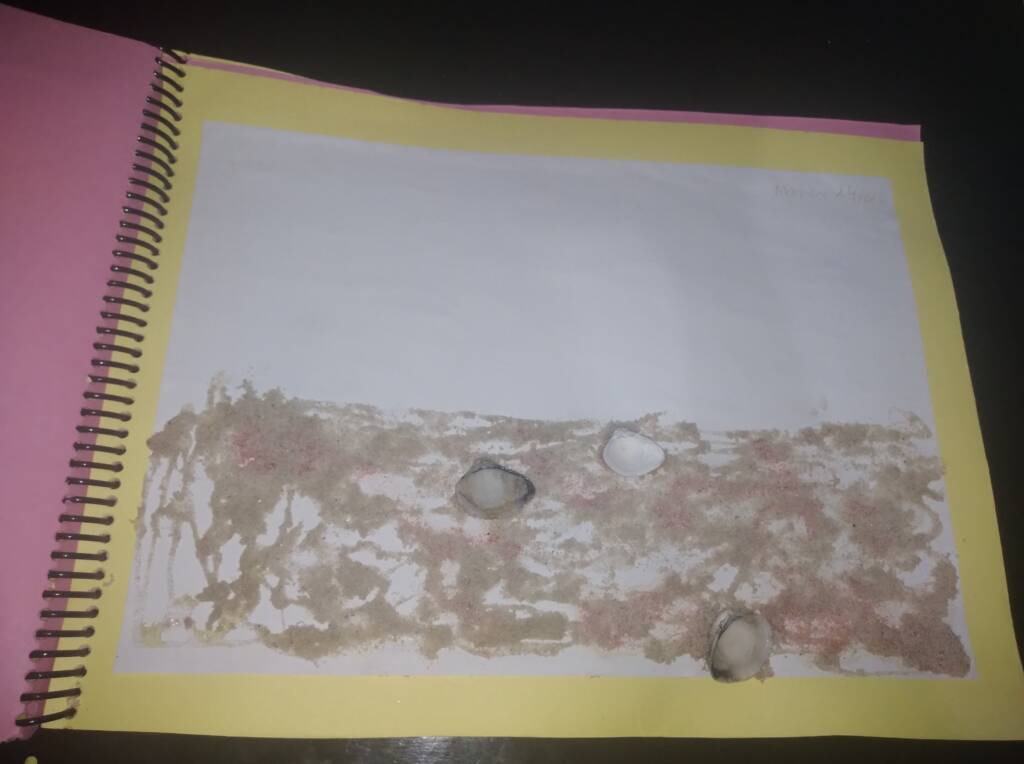 Color image of a sheet of paper containing sand and beach shells glued to the bottom of a sheet of paper.