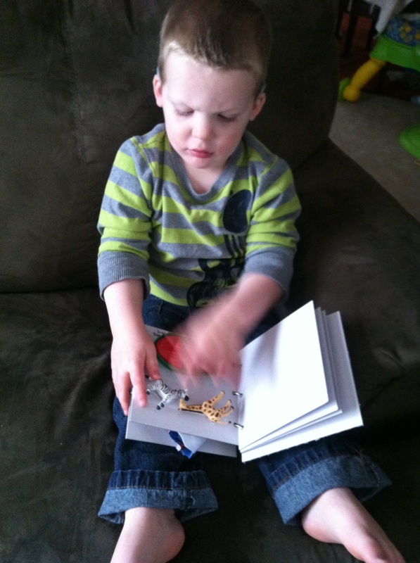 Young boy looking at Noah's Ark page