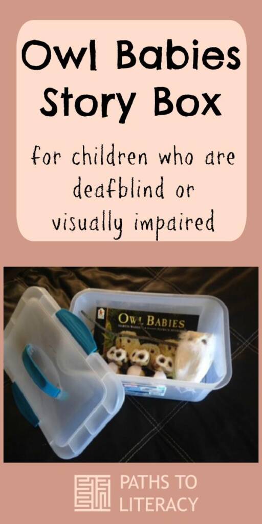 Collage of Owl Babies Storybox for children who are deafblind or visually impaired