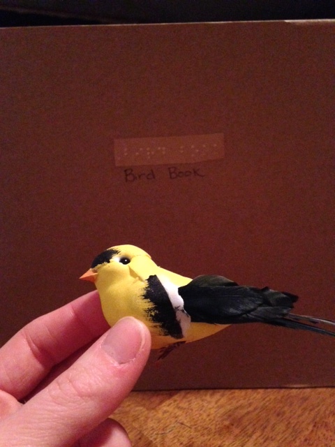 Cover of "Bird Book" with title in braille and print; hand holding small stuffed yellow bird