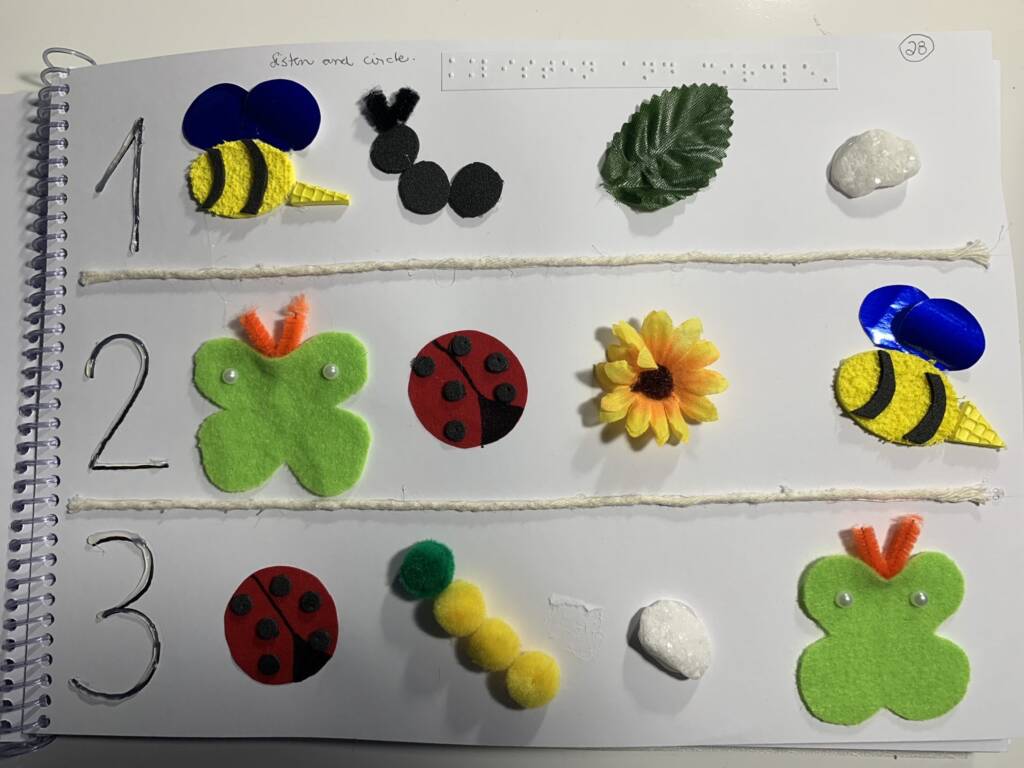 A page with 3 lines and each line has 4 tactile images like: bee, bug, rock.