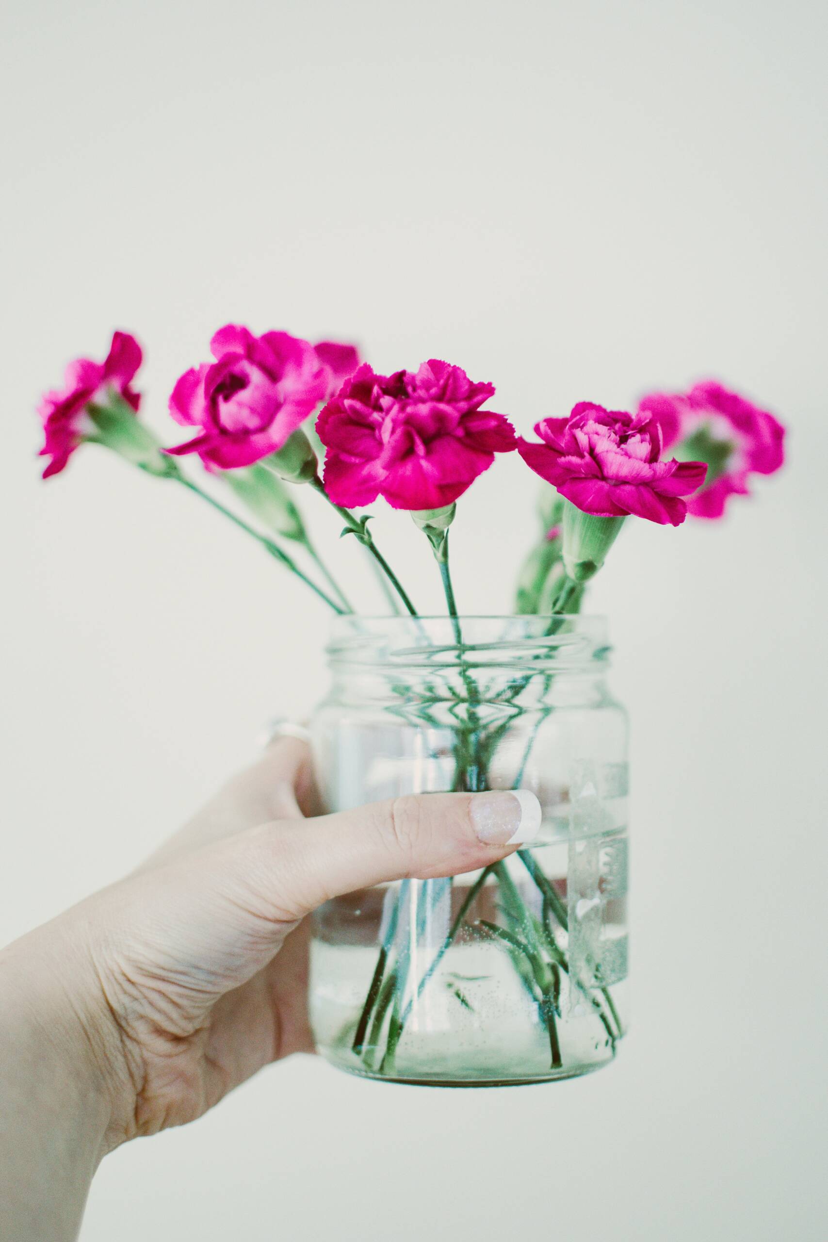 Cut flowers in a mason jar