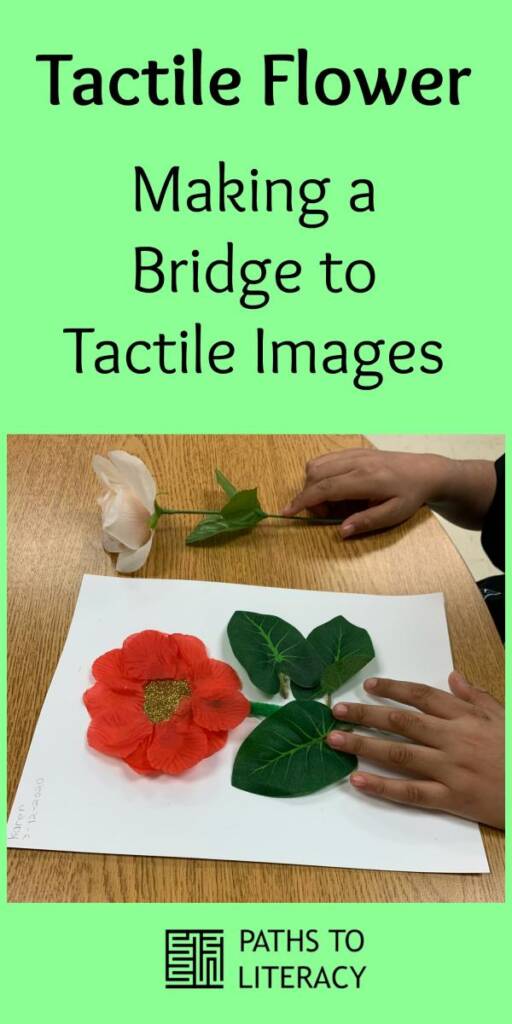 Collage of tactile flower: making a bridge to tactile images