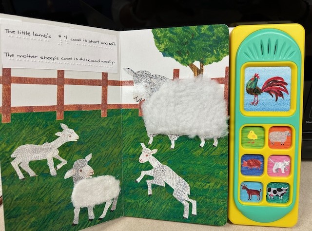 A page of the book Farm Babies. Shown are sheep with tactile wool attached to them. The sentences of the book are displayed in both print and braille.