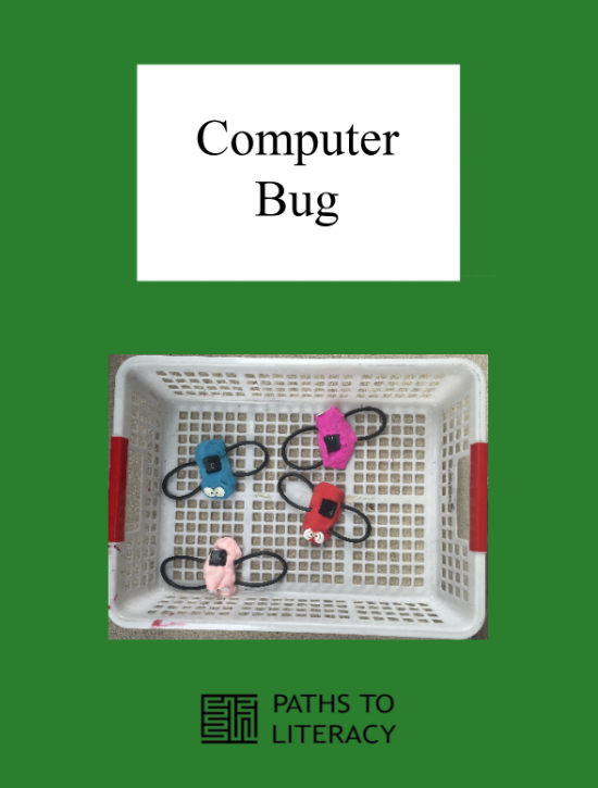 Computer Bug pin