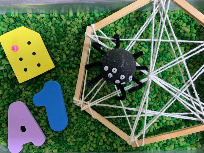 Spider in the container with a string web