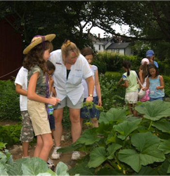 Children examining outdoor plants with museum interpreter