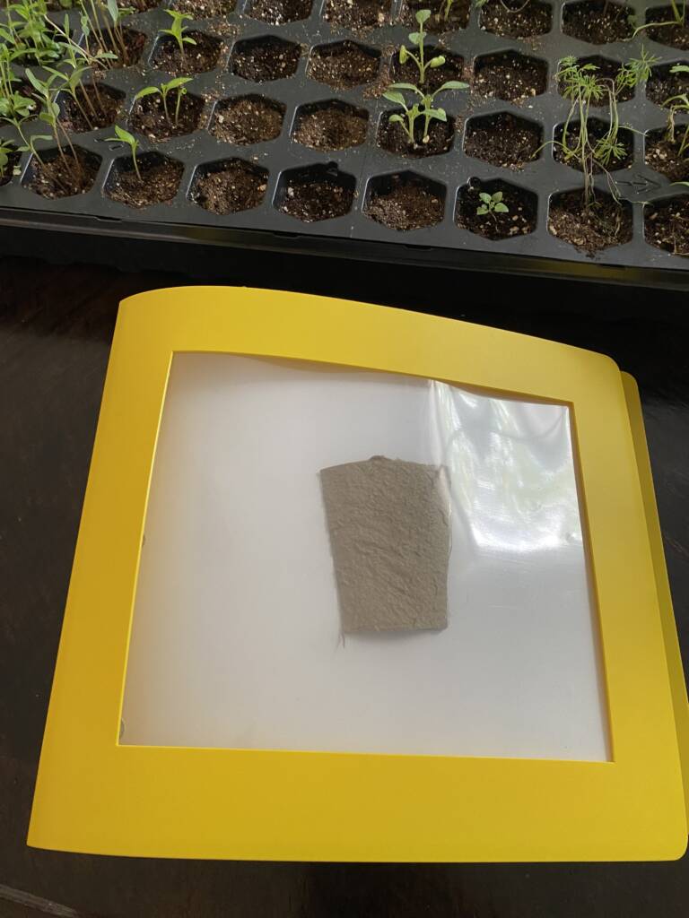 The cover page of the self made Garden book.