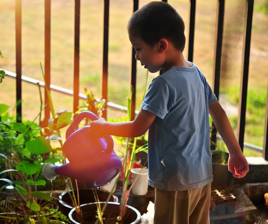 Boy watering container garden.