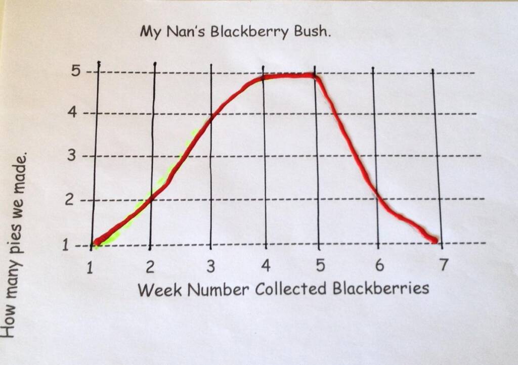 Large print version of line graph
