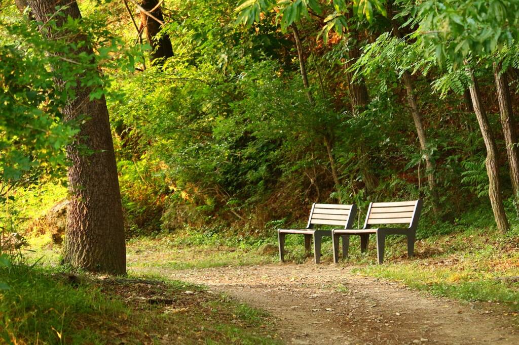two benches on a trail