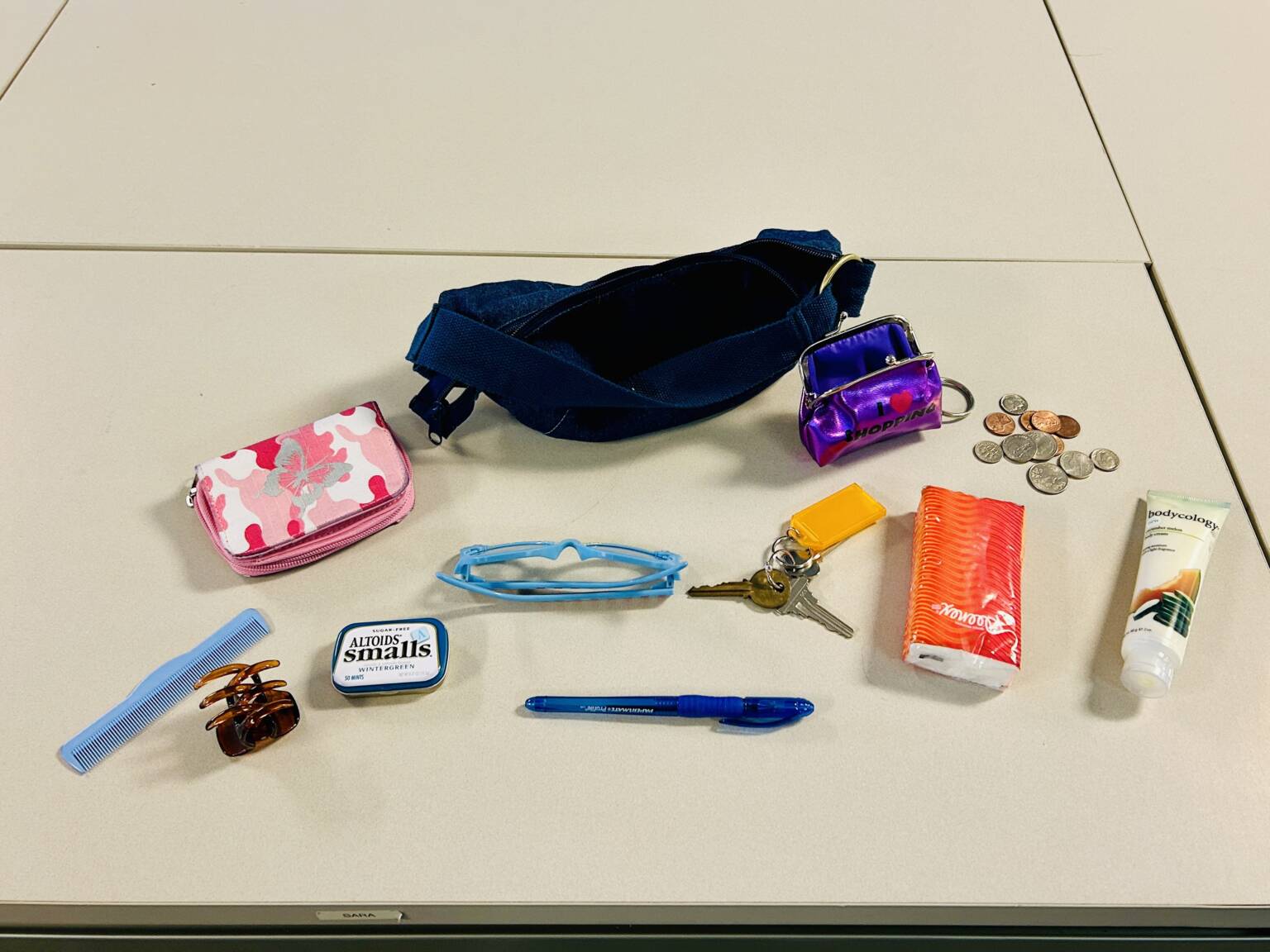 New Posters and Nemeth Reference Sheets – Paths to Literacy