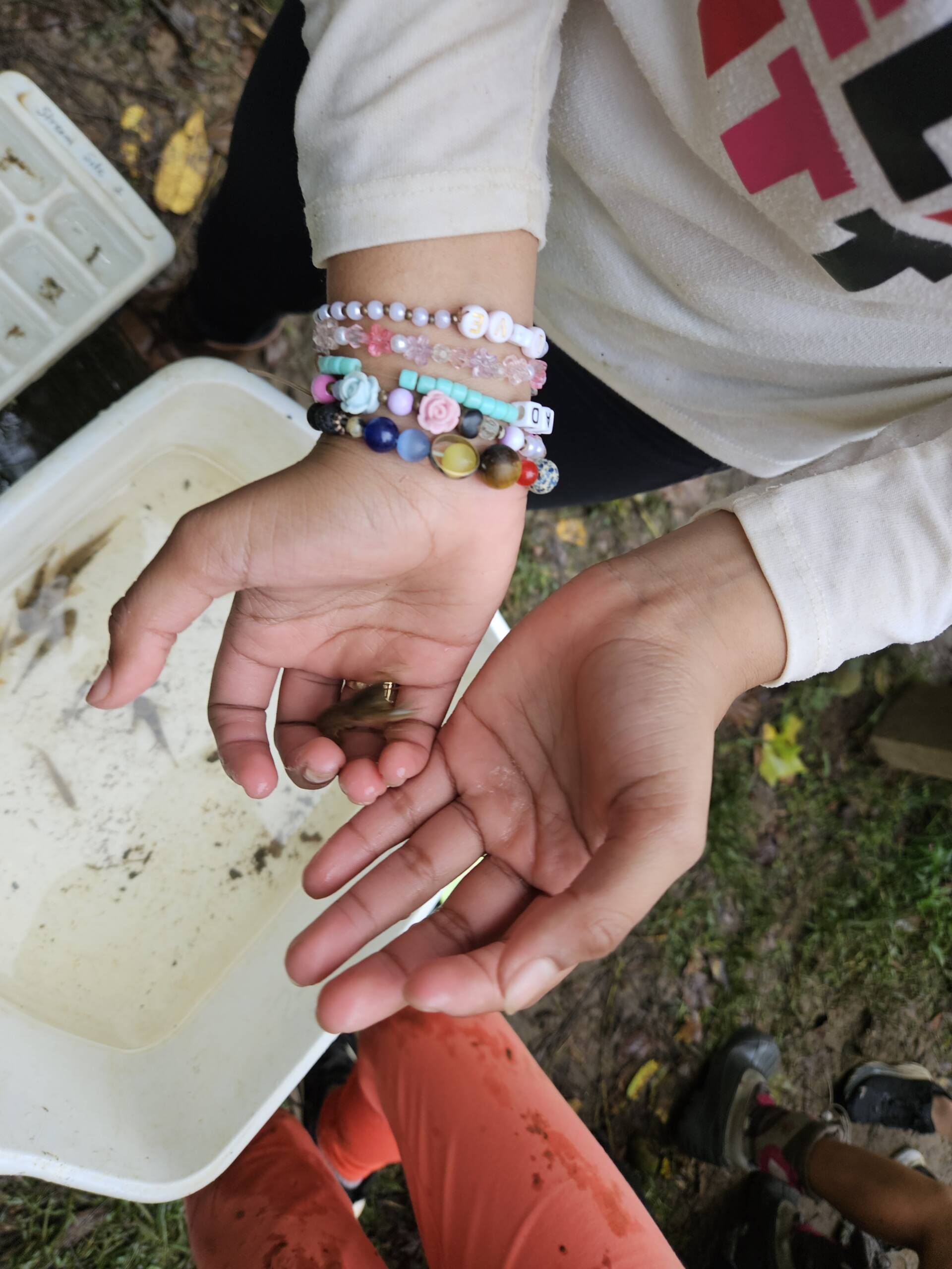 Student hands held out holding a small pinecone