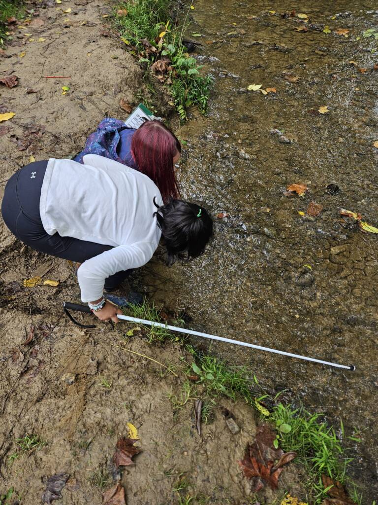 Two students leaning over at a small creek exploring. One student has a cane.
