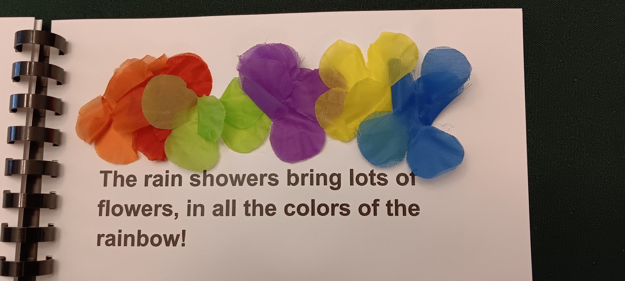 A page of It's Spring book with all the flowers.