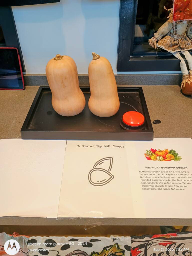 Two butternut squash on a black tray with a AAC button and braille plus large print info. page with a raised line drawing of the seeds.