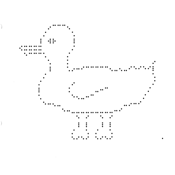 braille duck