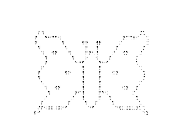 Braille butterfly.