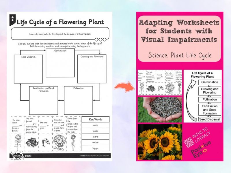 An adapted worksheet from the article on Paths to Literacy called: Plant Life Cycle. 