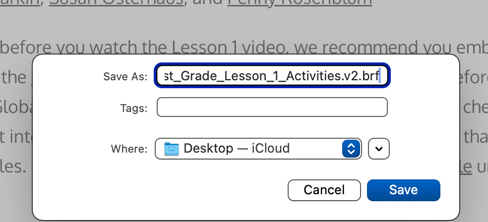 Screenshot of "Save as" with a BRF file