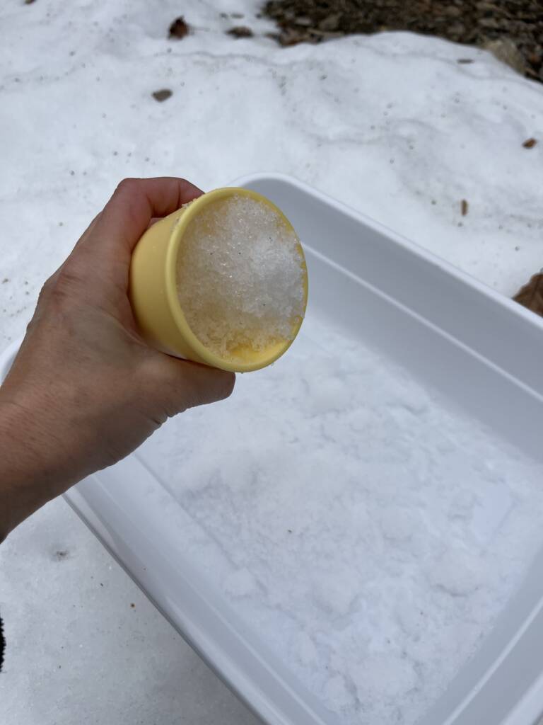 Teacher scooping snow outside into a container. 