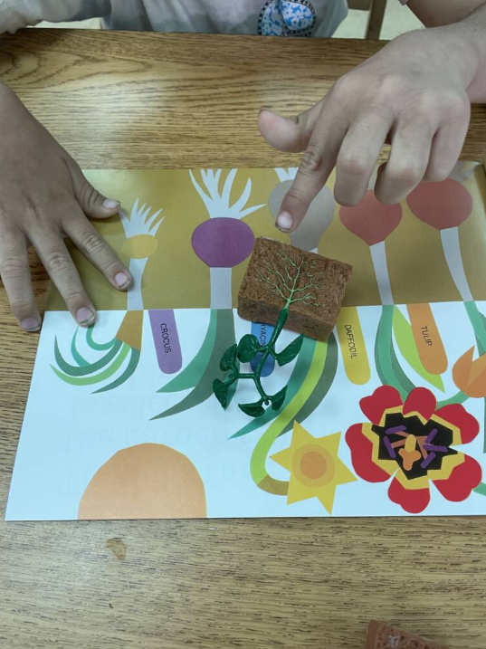 Student exploring a model of a small plant and the roots in the ground with the book, "Planting a Rainbow" out looking at the plants in the ground.