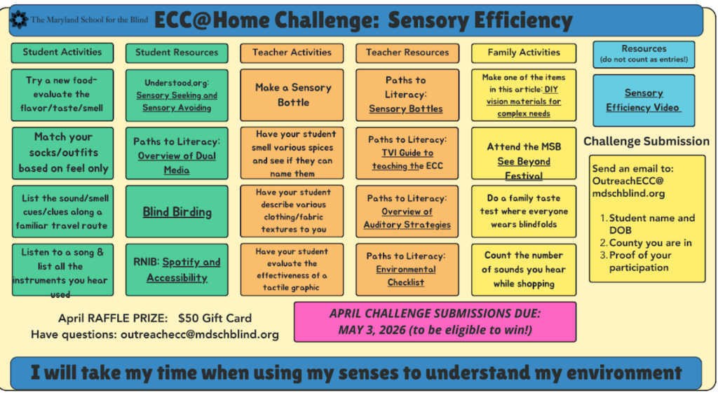 Snapshot of the ideas listed for the ECC at home challenge for sensory efficiency. 