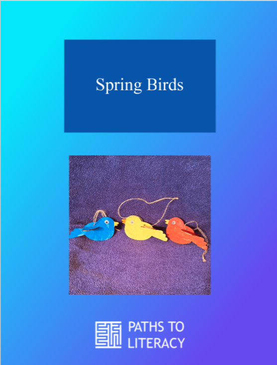 Spring Birds pin.