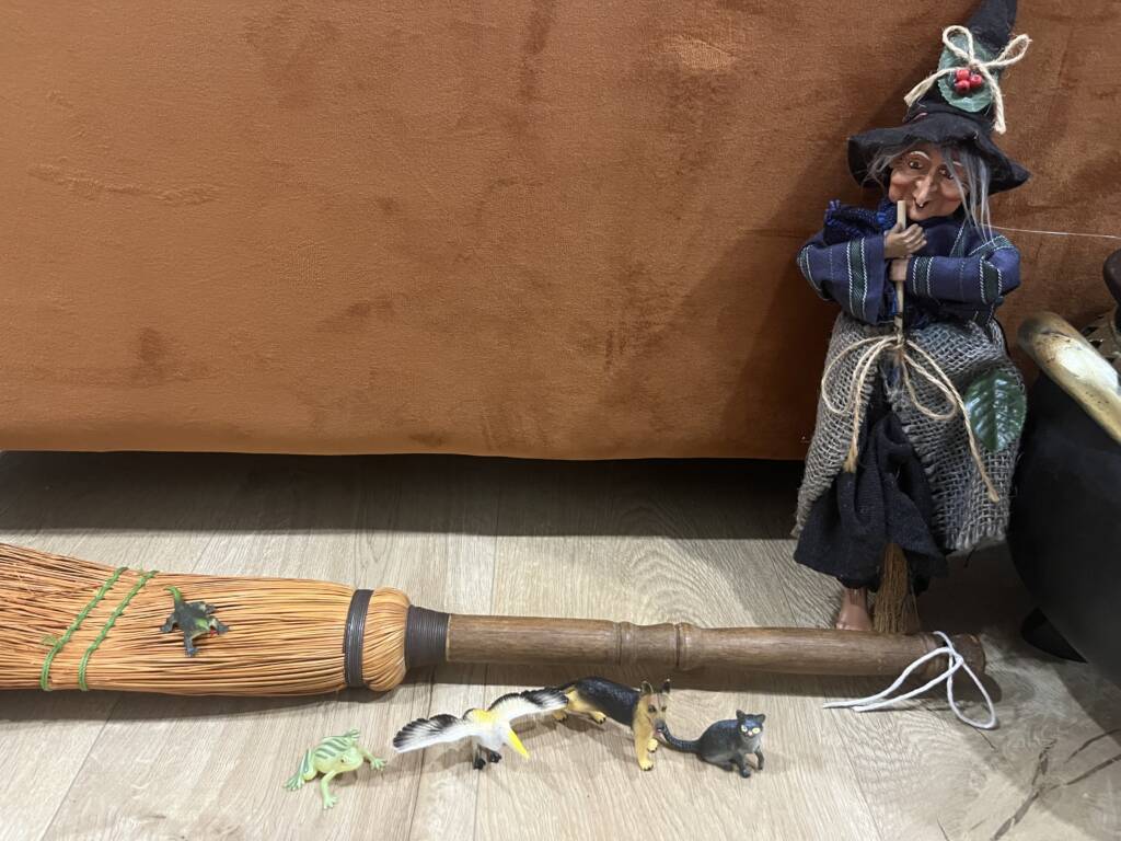 A plastic witch, a small broom, and plastic toy animals; cat, dog, bird, frog, dragon. 
