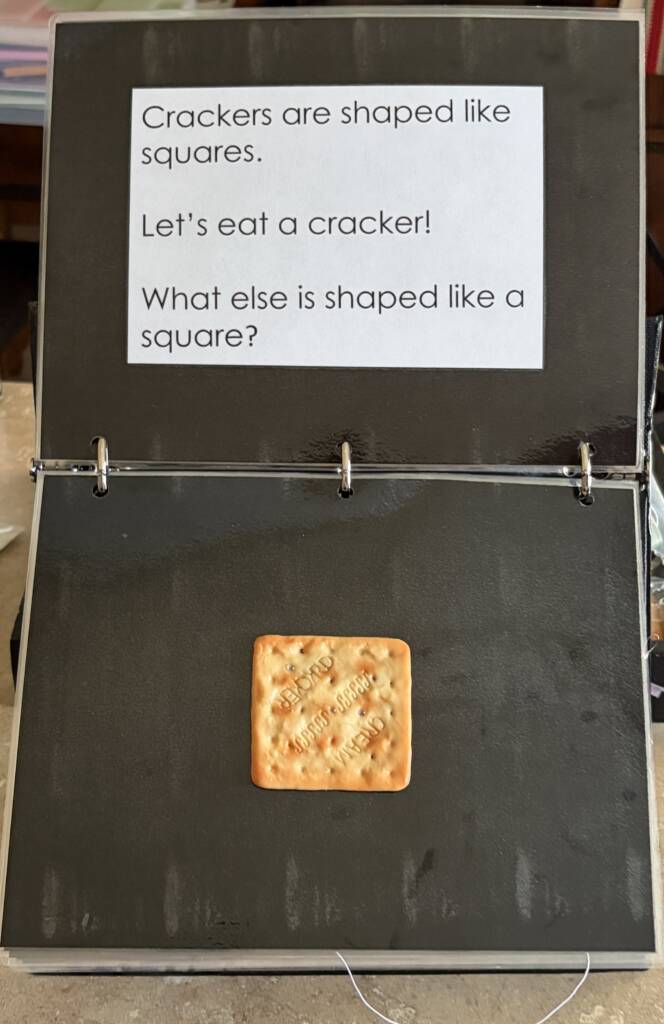 An adapted binder of the Shape book that included a square cracker as one page.