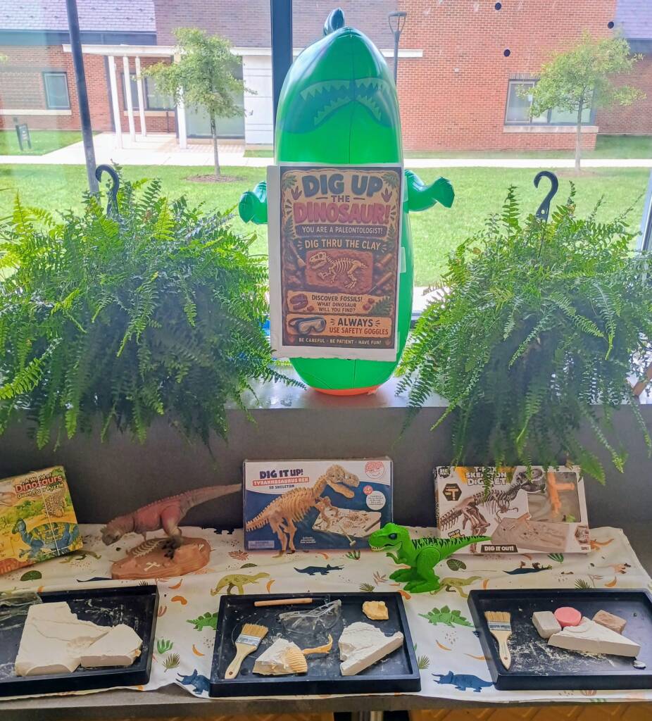 Fossil station at the Maryland school for the blind horticultural room that includes plaster with plastic fossils for students to "dig" up.