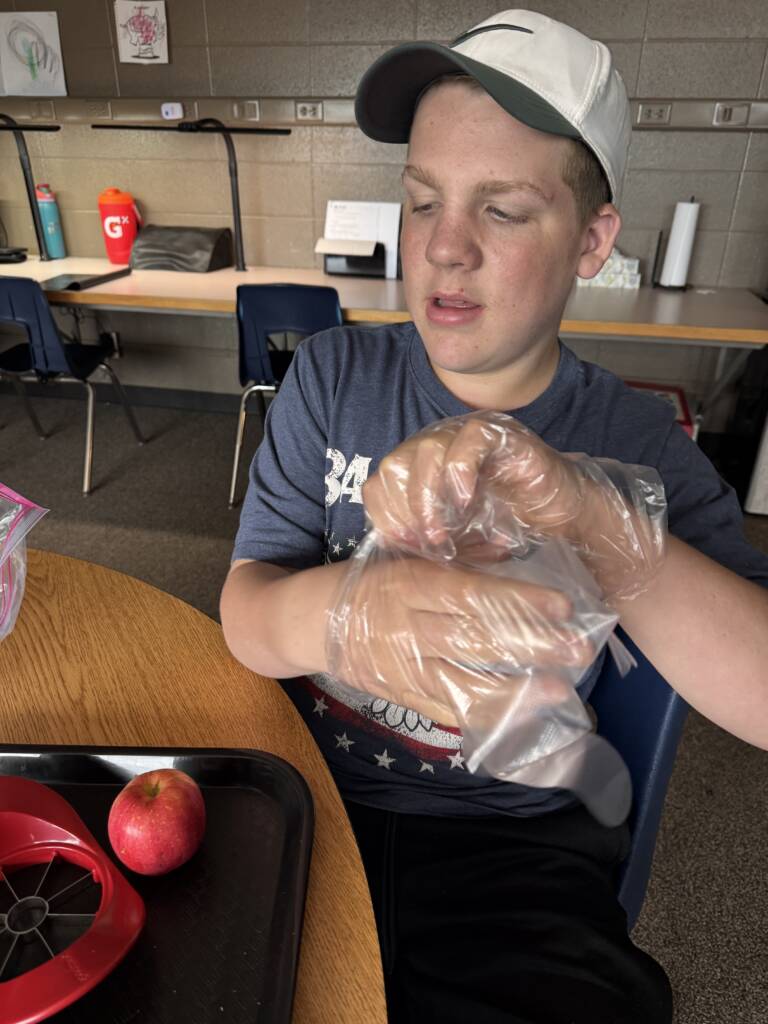 Liam putting on his plastic gloves with his materials in front of him on the table. 