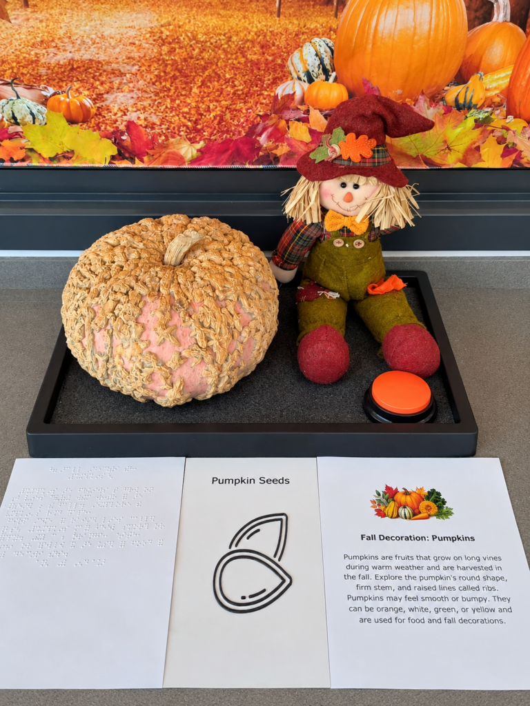 Pumpkin on a tray next to a small scarecrow. An AAC button to push is next to it with braille and print information. A raised line drawing of pumpkin seeds.