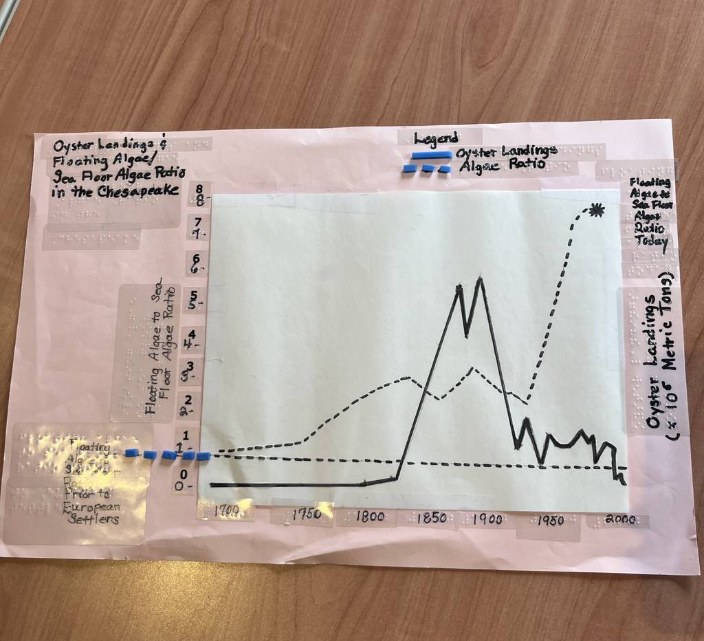 Tactile graph of the correlation between settlers in the Chesapeake bay, the number of oysters in the bay and the algae ratio, making the oyster population depleted.